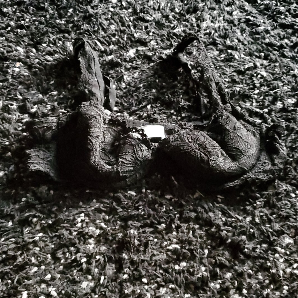 Bra